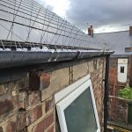 Bird spike install Durham