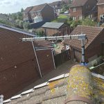 TV aerial seagul protection